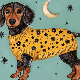 Teckel en pull, adorable chien sur IamHome Studio