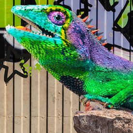 Graffiti-Leguan von Postergirls