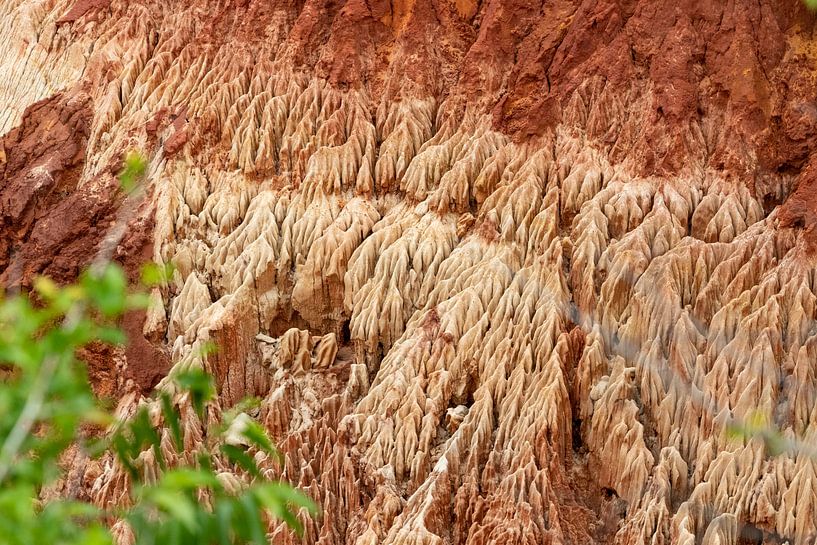 Sandstein Formationen im Tsingy Rouge Park auf Madagaskar von Reiner Conrad