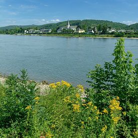 Blick über den Rhein zur Rotweinstadt Unkel von Peter Eckert