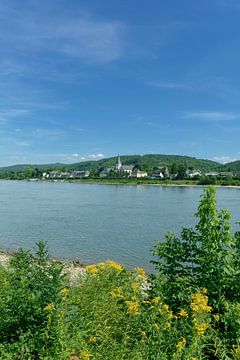 Blick über den Rhein zur Rotweinstadt Unkel