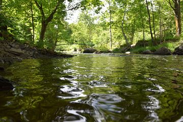 Reflection on the creek in the park by Claude Laprise