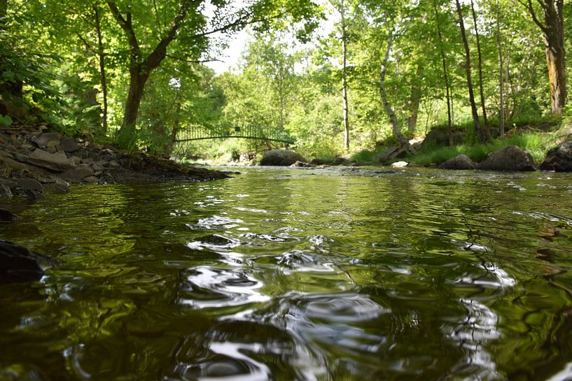 Reflexion über den Bach im Park von Claude Laprise