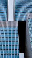 The Rotterdam