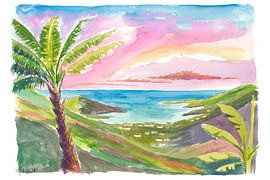 Saint John USVI Palme Gelassenheit über Coral Bay