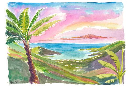 Saint John USVI Palm Serenity over Coral Bay