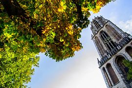 Een zonnige herfstdag op het Utrechtse Domplein.