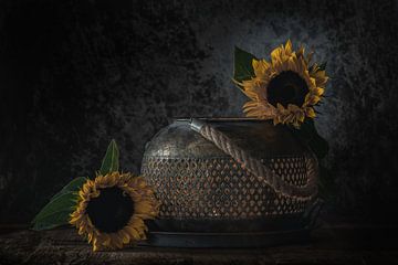 Stilleben Sonnenblumen von Steven Dijkshoorn