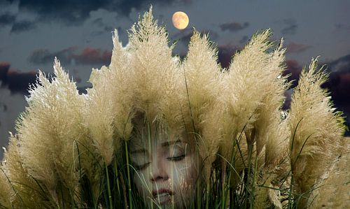 slapend vrouw in het natuur-sleeping woman in nature-Schlaf Frau in der Natur-