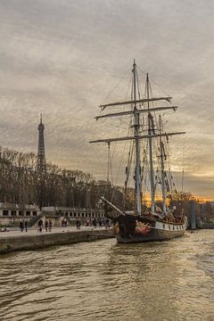 Schip op de Seine Parijs van Dany Tiels