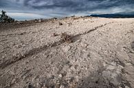 Wüstenlandschaft nackter Sand Nevada von Marianne van der Zee Miniaturansicht