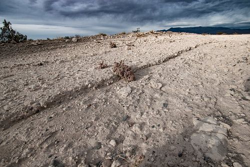 Nevada desert landscape bare, lonely sand and stones