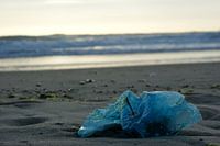 Plastic on the beach