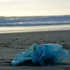 Plastic op het strand van Minca de Jong