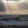 Een meeuw staat op strand met ondergaande zon tijdens een storm van Menno van Duijn