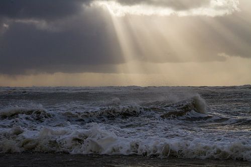 Een meeuw staat op strand met ondergaande zon tijdens een storm