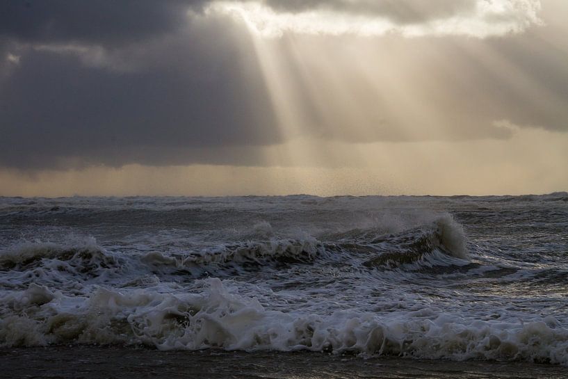 Een meeuw staat op strand met ondergaande zon tijdens een storm van Menno van Duijn