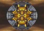 Ginkgo by artpictures.de thumbnail