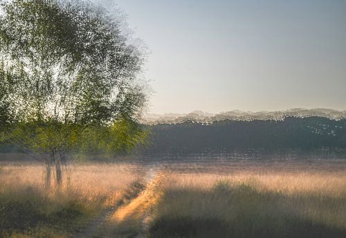 Planken Wambuis part 56