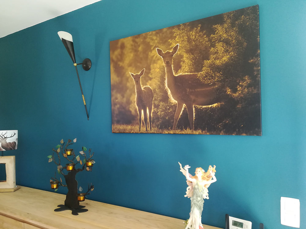 Two deer at sunset, by Marcel Alsemgeest