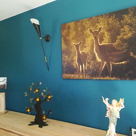 Customer photo: Two deer at sunset by Marcel Alsemgeest, on canvas