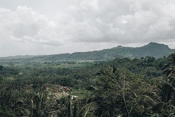 Vues tropicales authentiques à Bali, Indonésie sur Troy Wegman