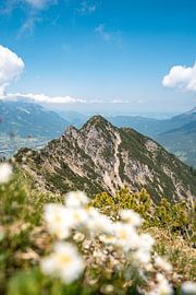 Flowery view from the Tauern to Reutte and Außerfern by Leo Schindzielorz