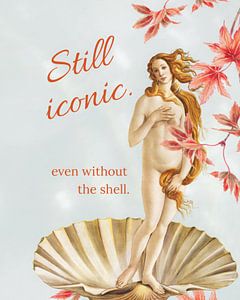 Botticelli's Venus: nog steeds een iconische collage uit de Renaissance
