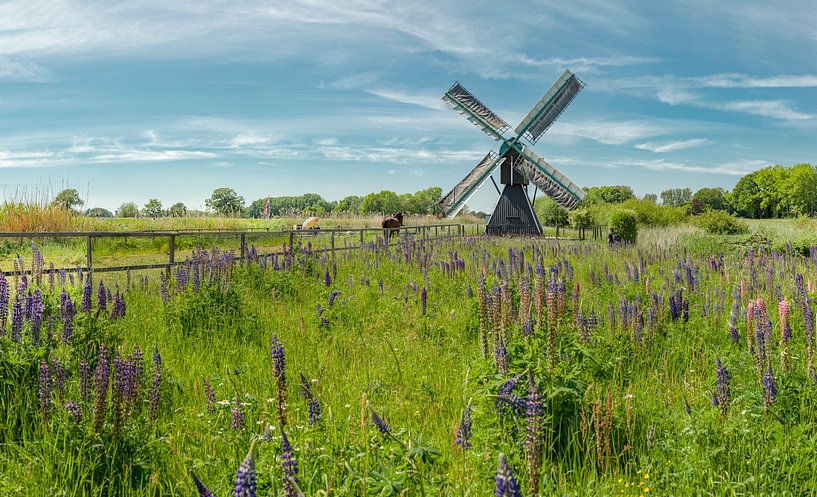 The Follega windmill, Laag-Keppel, Gelderland, Netherlands by Rene van der Meer