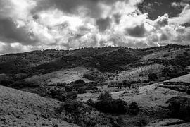 Fazenda-Landschaft in Brasilien von Alex de Bolivar