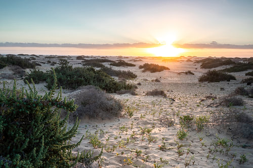 Zonsopgang in de duinen van Corralejo. Romantische zonsopgang boven Corralejo Nationaal Park