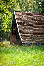 Versteckte Bauernhöfe in der Umgebung von Winterswijk (9) von André Blom Fotografie Utrecht