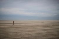 Beachlife