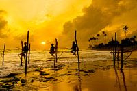 coucher de soleil bâton pêcheurs sri lanka