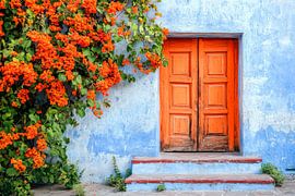 Bunte Tür in blühender Oase von Poster Art Shop