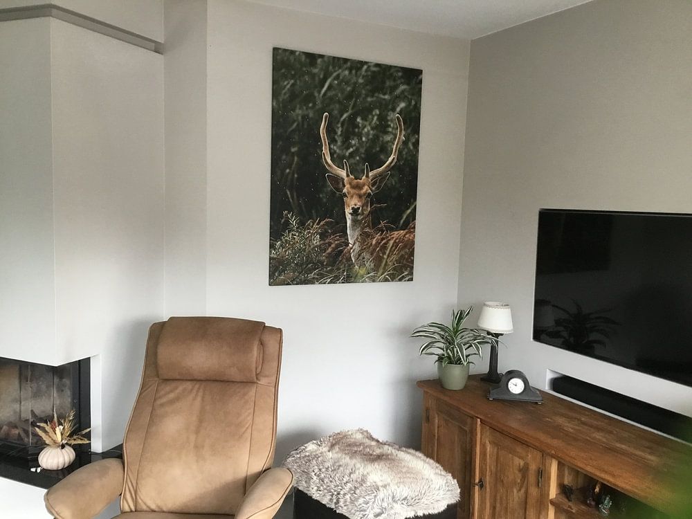 Porträt eines Rehs  von Larissa Geuke 