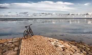 Fahrrad von Antonio Correia