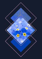 vergeet de mijne niet