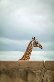 Kontrast Mensch - Natur