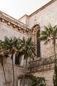 Tropische palmbomen in de stad Lissabon van Joke van Veen