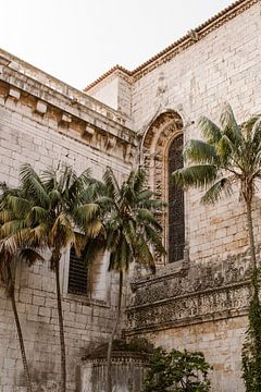 Tropische Palmen in der Stadt Lissabon von Joke van Veen