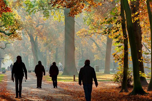 herfst in het bos