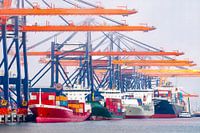 Containerschepen in de haven van Rotterdam bij de terminal