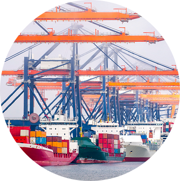 Containerschepen in de haven van Rotterdam bij de terminal van Sjoerd van der Wal Fotografie