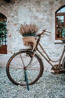 Fiets met bloem in bak.