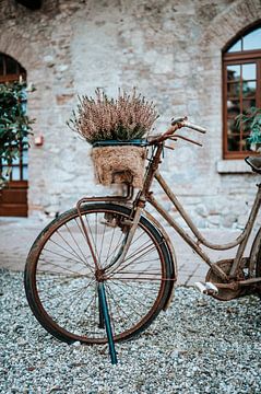 Bicyclette avec de la farine dans le bac. sur Milene van Arendonk