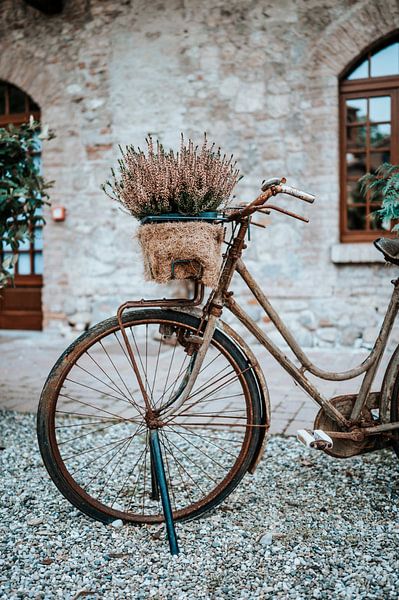 Fiets met bloem in bak. van Milene van Arendonk