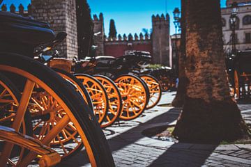 Typical Seville with the Horse and Wagons by Maartje Abrahams