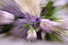 Zoomblur bloemen van Yvonne Balvers