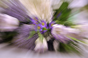 Zoomblur bloemen